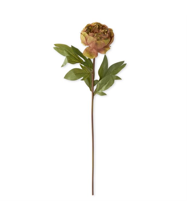 Faux Dried Peony Stem