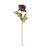 Faux Dried Peony Stem