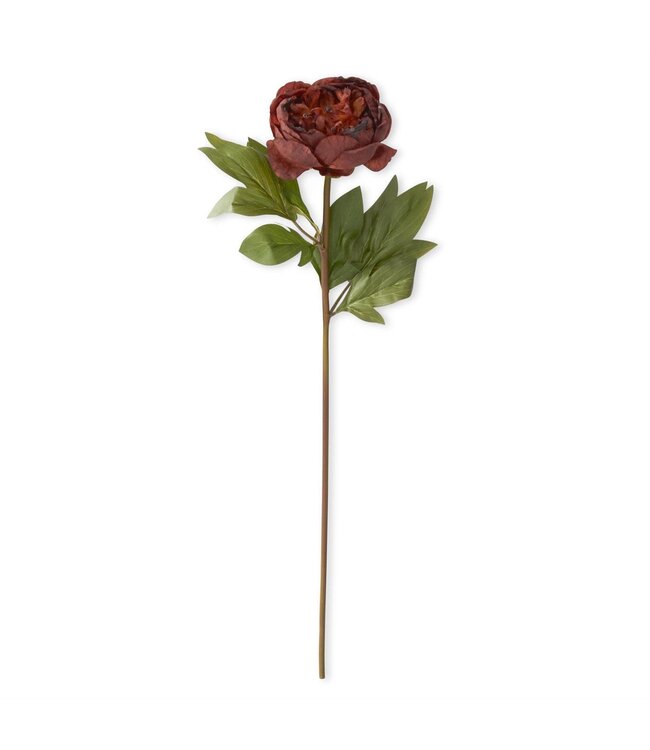 Faux Dried Peony Stem