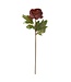 Faux Dried Peony Stem