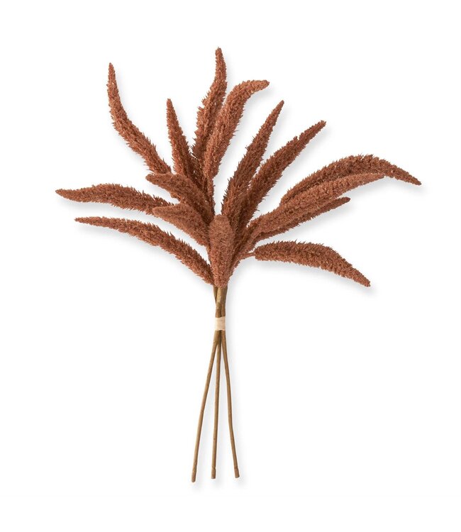 Millet Bundle 3 Stems
