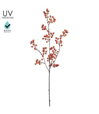 36" UV Berry Spray Orange Two Tone