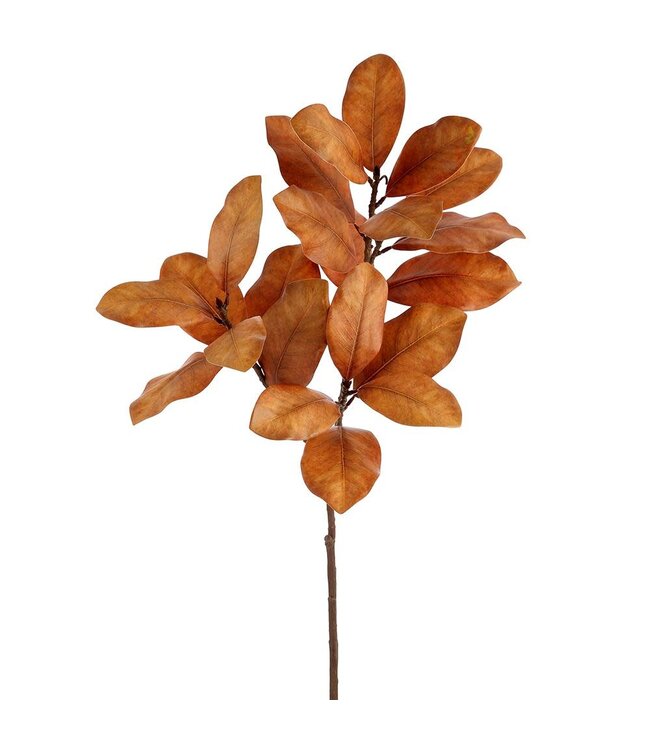 44" Magnolia Leaf Spray Brown