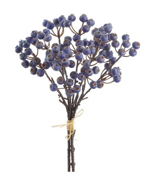 11.5" Plastic Huckleberry Bundle Blue