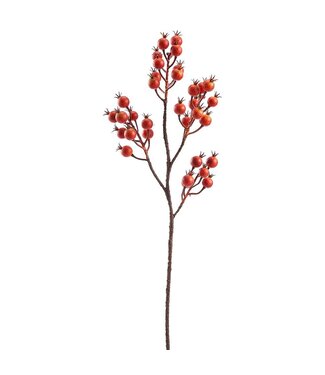 29" Rosehip Spray Orange