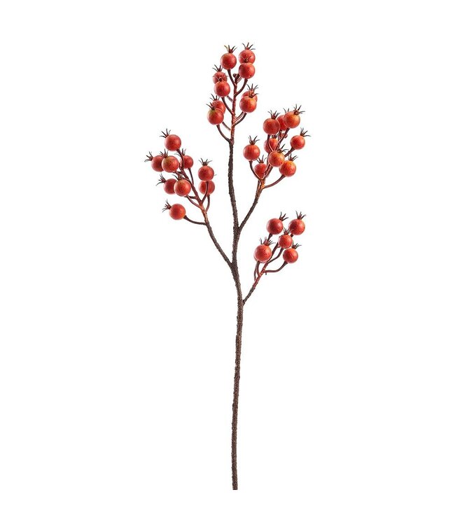 29" Rosehip Spray Orange