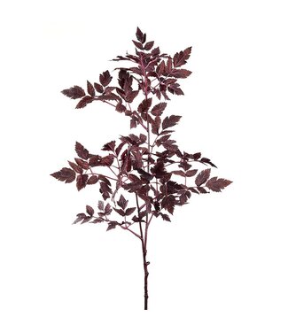 31" Cimicifuga Ramosa Leaf Spray Plum