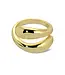Adjustable Wrap Ring