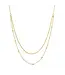 Delicate Double Appeal Necklace