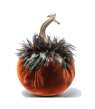 HOT SKWASH 14" Velvet Pumpkin Fire with Feather Collar