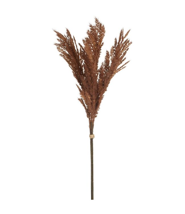 6" Flocked Pampas Bundle x3  Brown
