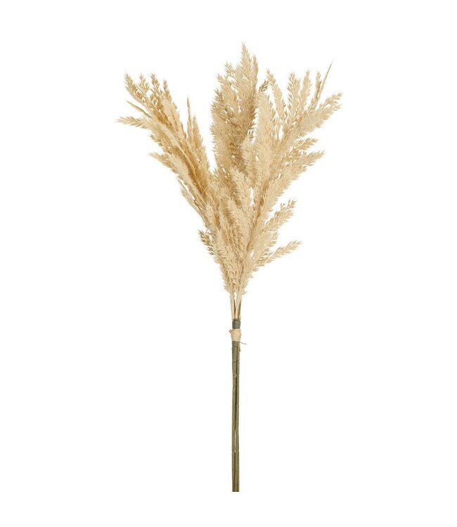 26" Flocked Pampas Bundle x3  Beige