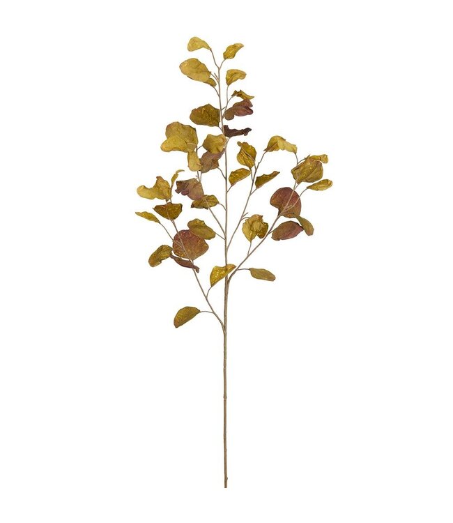 38.5" Eucalyptus Leaf Spray  Green