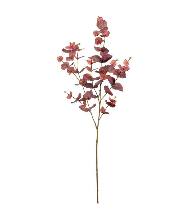 38" Eucalyptus Leaf Spray  Brown