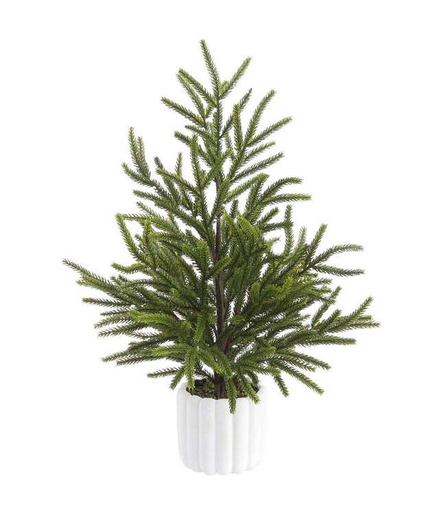 19.5” Cypress Tree in Cement Pot Green