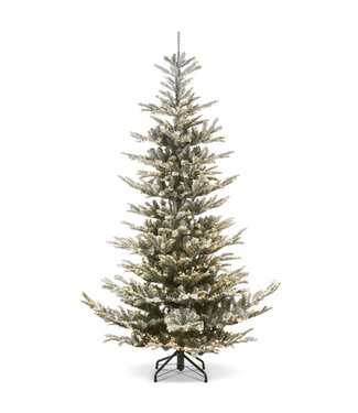 HANNAH 9' SNOWY NORWEGIAN SPRUCE