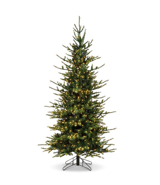 MARIE 9' ROCKY MOUNTAIN SPRUCE