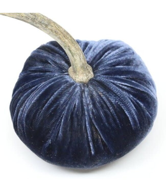 HOT SKWASH 5" Velvet Pumpkin