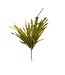 20" PE Keel Harvest Grass Bush