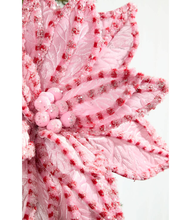 30" Giant Candy Snow Glitter Poinsettia Stem