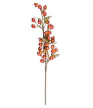 32 Inch Burst Orange Rosehip Stem
