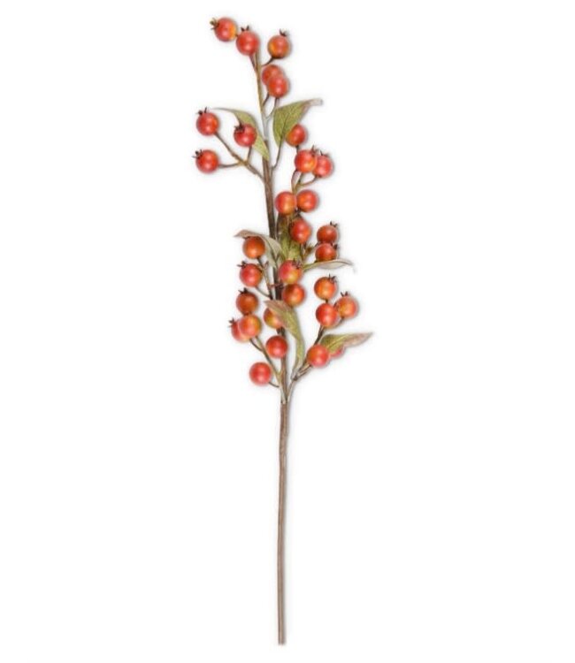 32 Inch Burst Orange Rosehip Stem