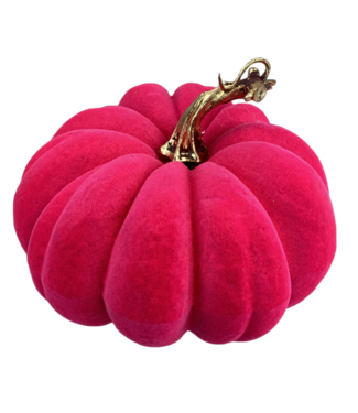 Flocked Pumpkin