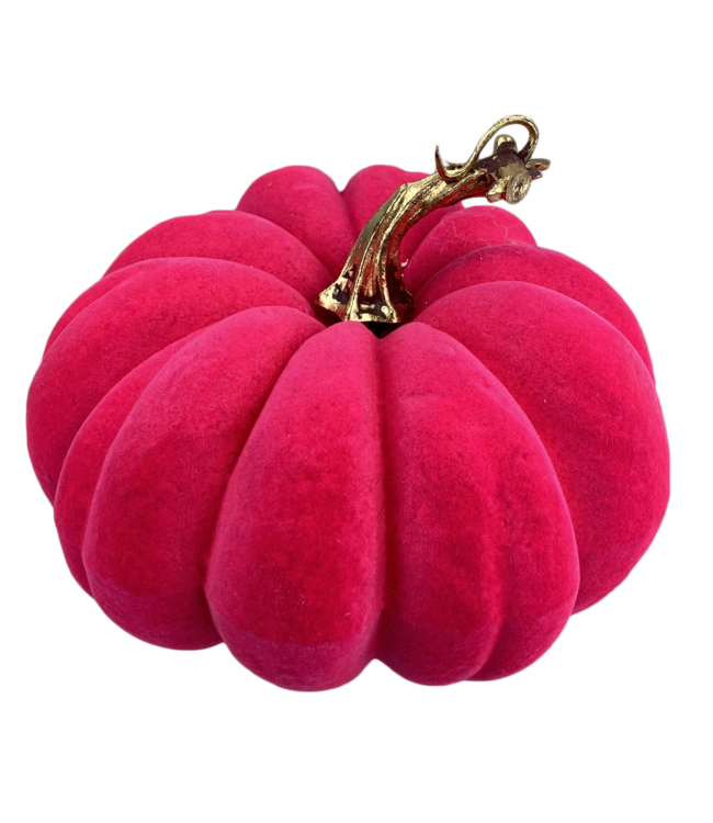 Flocked Pumpkin