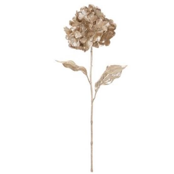 Hydrangea4937　0602 16689469.jpg