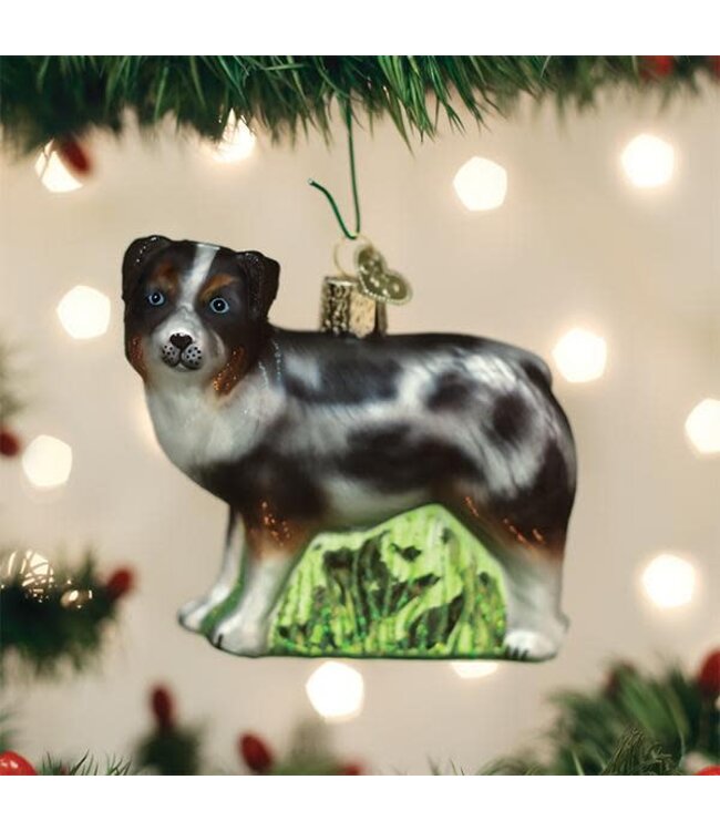 OLD WORLD CHRISTMAS Australian Shepherd Ornament
