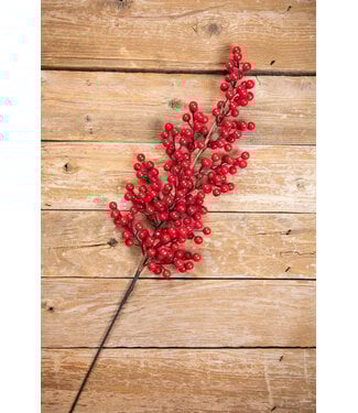 39" WP Tall Berry Stem