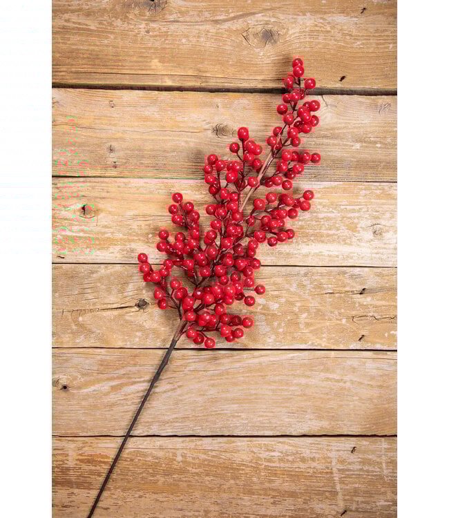 39" WP Tall Berry Stem