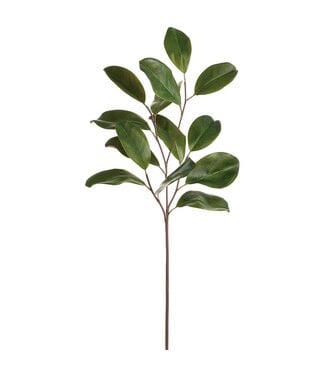 32" Magnolia Leaf Spray Green
