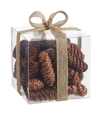 6"Hx6"Wx6"L Plastic Pine Cone In Acetate Box Brown - Sold as Set