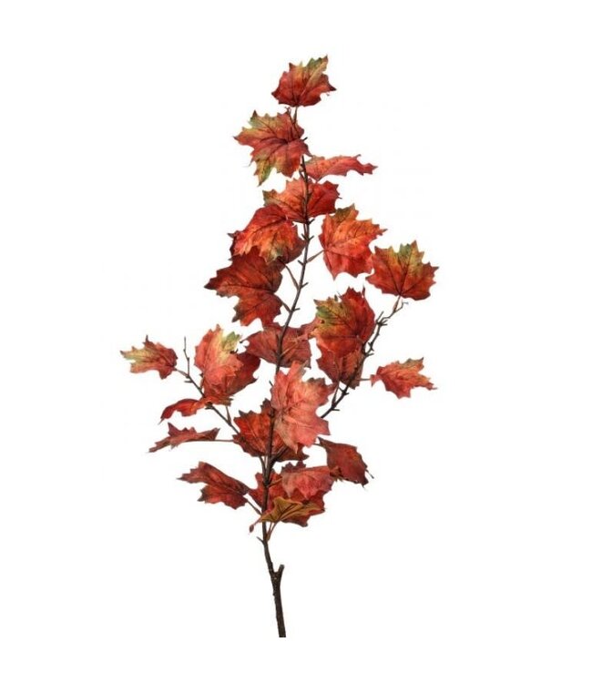 47" Northern Vermont Maple Spray