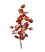 47" Northern Vermont Maple Spray
