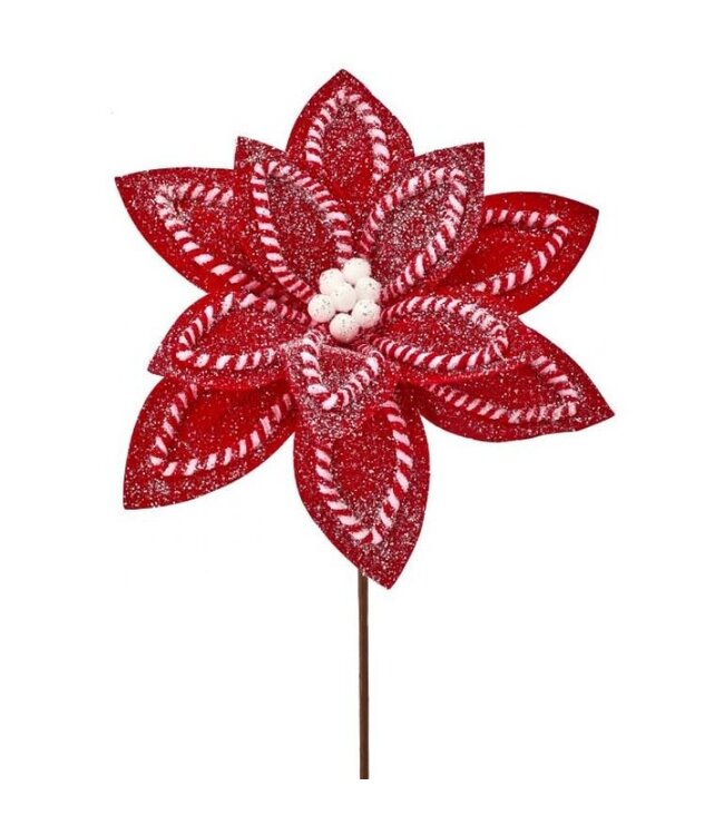 22" Sugar/Spice Poinsettia Stem