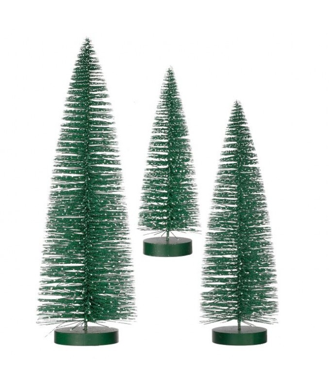 Snow Tipped Bottle Brush Tree