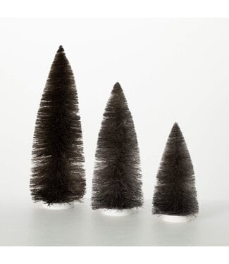 Bottle  Brush Tree