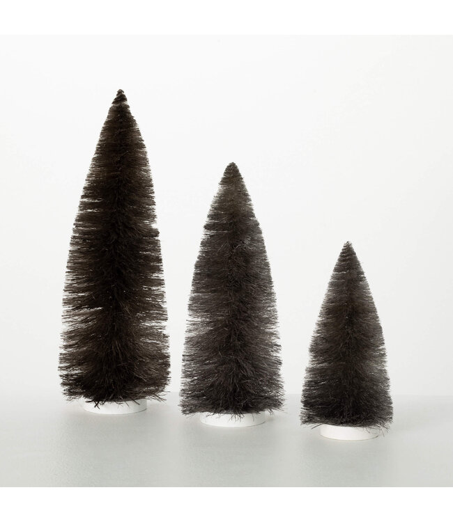 Bottle  Brush Tree