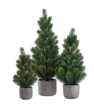 Pine Tree in Cement Pot Green