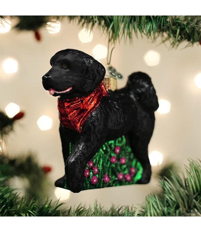 OLD WORLD CHRISTMAS Black Doodle Dog Ornament