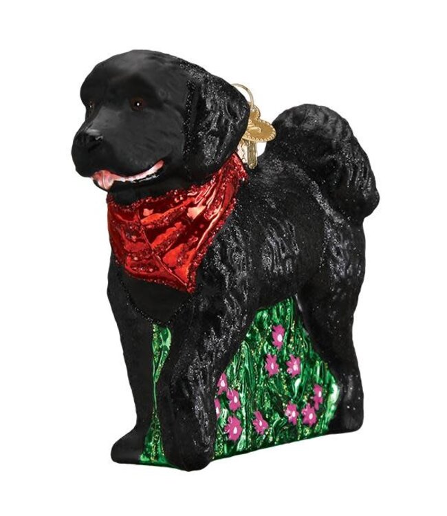 OLD WORLD CHRISTMAS Black Doodle Dog Ornament