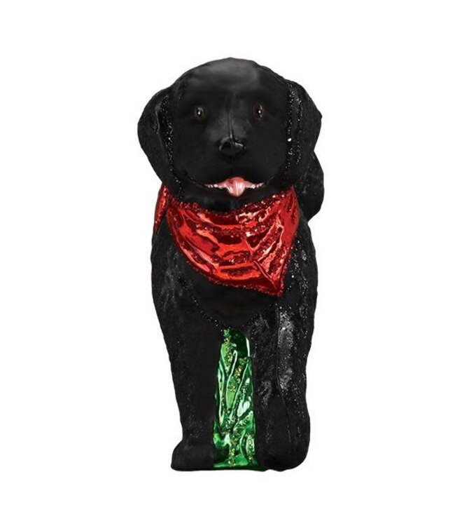 OLD WORLD CHRISTMAS Black Doodle Dog Ornament