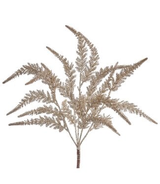 19" Glittered Astilbe Bush Champagne