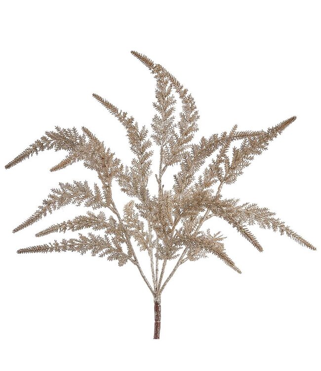 19" Glittered Astilbe Bush Champagne