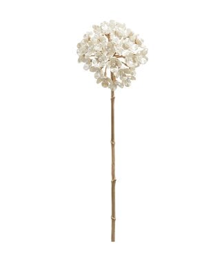 27" Pearl Allium Spray Pearl