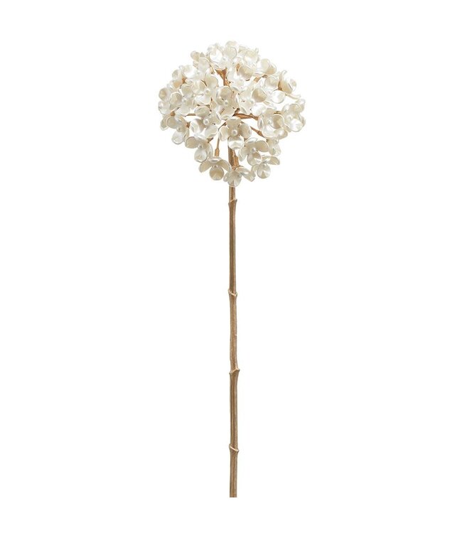 27" Pearl Allium Spray Pearl