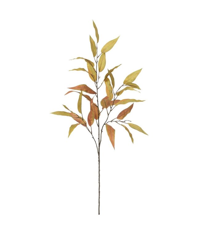 45" Harvest Eucalyptus Spray Green Rust