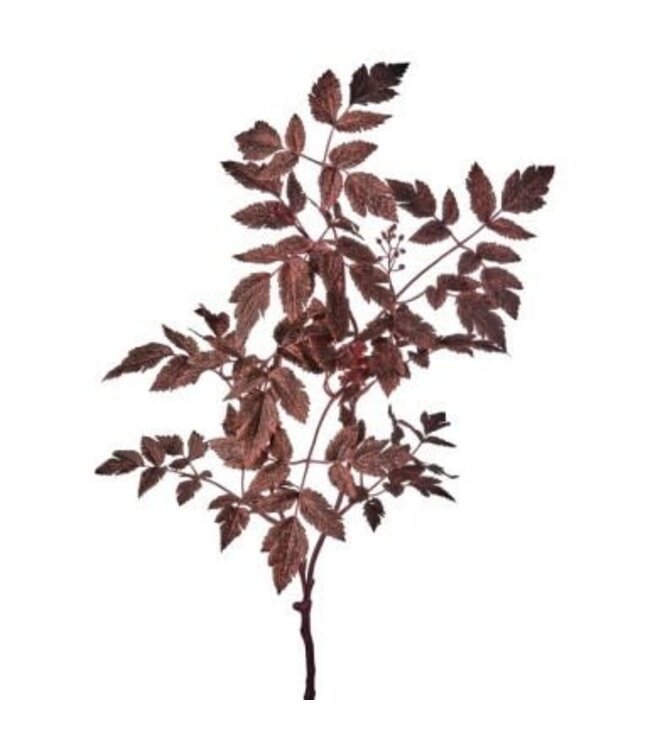 31" Autumn Ruscus With Berry Spray